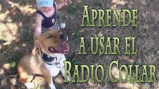 Aprendiendo a usar el Radio Collar Curso de Adiestramiento Online wwwcanineservicecom [upl. by Lagasse191]