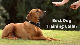 Top 10 Best Dog Training Collar [upl. by Sarson920]