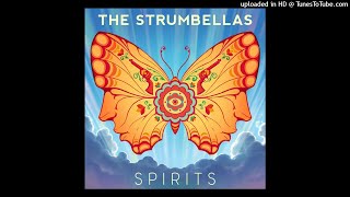 The Strumbellas  Spirits Official InstrumentalKaraoke [upl. by Sollie]