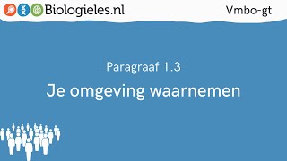 Vmbogt 3  De mens  3 Je omgeving waarnemen  Biologielesnl [upl. by Moffat]