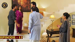 Amanat Episode 12  Top Pakistani Drama [upl. by Eilsel]