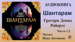 Аудиокнига quotШантарамquot  Грегори Девид Робертс Часть 12 [upl. by Mady734]