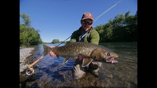 Amazing Kamchatka fishing trip on the river Icha [upl. by Adlemy]