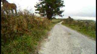 Paseo en bici Cordal de Peón  Pico Fario  Peña cuatro jueces Asturias [upl. by Gusba]