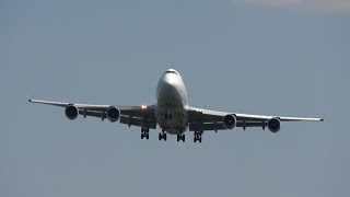 Ramstein US Air Base  Planespotting 1718062023 ✈️ 4K [upl. by Akinod145]