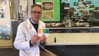 Universal indicator colour changes in an acid base and water [upl. by Campney]