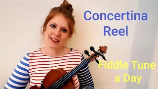 Concertina Reel Irish Reel FIDDLE TUNE A DAY [upl. by Welton951]