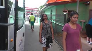 Suva Fiji  Navua River by Longboat Tour 2  Regent Cruise  11 Jan 2020 [upl. by Assilla]