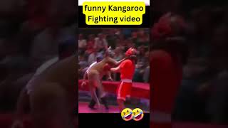 discover those 3 amazing Australian kangaroos fighting man challenges shortvideo [upl. by Petrick]