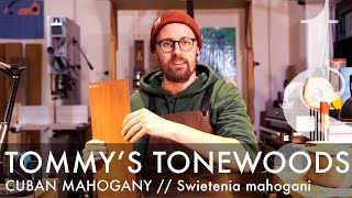 What is Cuban Mahogany Swietenia Mahogani  Tommys Tonewoods [upl. by Seve785]