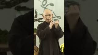 Recognizing the Painful Feeling  Thich Nhat Hanh  shorts [upl. by Eatnoled131]