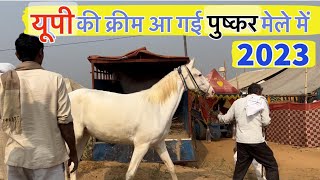 यूपी की क्रीम आ गई पुष्कर मेले में  Puskar Fair 2023 [upl. by Itsa660]