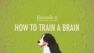 How to Train a Brain Crash Course Psychology 11 [upl. by Mllly]