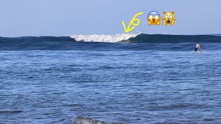 SUP Surfers Paddling Out To Avalanche😱Surfing Haleiwa North Shore Oahu Hawaii [upl. by Platus91]