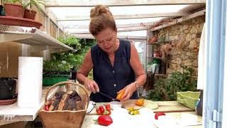 Inis moestuin 25 tomatenzaden oogsten en bewaren voor volgend jaar [upl. by Ttehc736]