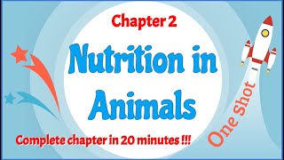 Class 7 Chapter 2 Nutrition in Animals OneShot  Complete chapter in 20 minutes   LearnFatafat [upl. by Cr]