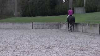 Novice 38 Nov 38 N38 Dressage Test [upl. by Sumaes270]