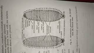 hirudinaria classification habitat and comments zoology practical bsc best handwritten study notes [upl. by Conti346]