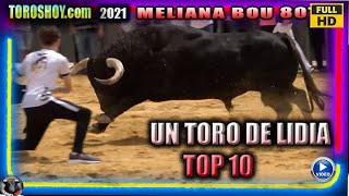 UN TORO DE LIDIA BRAVO DE SOTO DE LA FUENTE 👉✅ BOU 80 MELIANA 2021 👉 TOROS TV [upl. by Noraa]