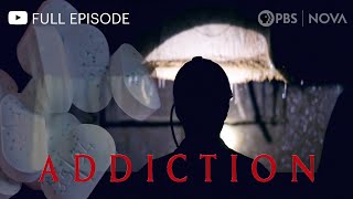 Addiction I Full Documentary I NOVA I PBS [upl. by Mehs]