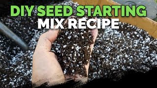 How To Make The Best Seed Starting Mix and Potting Soil [upl. by Earvin]