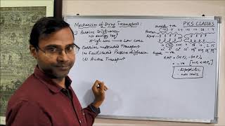 Mechanism of Drug Transport cellmembrane absorption pharmacokinetics pharmacology [upl. by Neeluqcaj]