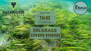 Nature Talks Community Eelgrass Restoration Initiative [upl. by Ahsyat]