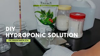 How to Make Your Own Hydroponic Solution at Home  DIY Hydroponic Nutrients [upl. by Lehcear]