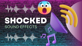 Shocked Sound Effect [upl. by Joannes]