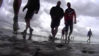 Wadlopen Schiermonnikoog [upl. by Ondine722]