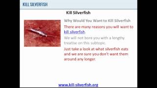 Kill Silverfish  Why You Should Kill Silverfish [upl. by Creight397]