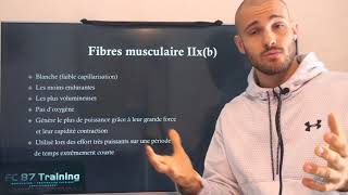 Questce que quotles fibres musculaires I IIa IIxb quot [upl. by Dnumsed]