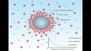 Lec 5 COLLOIDS  Electrical properties and Zeta potential شرح بالعربي [upl. by Tai]