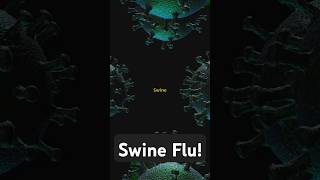 Swine Flu Symptoms Treatment and Prevention [upl. by Attenohs]