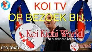 Koi TV quotOp bezoek bij quot Koi Kichi World [upl. by Nefen521]