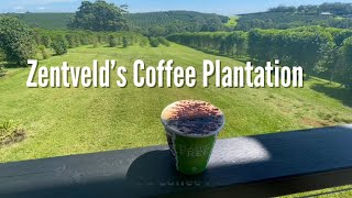 Zentvelds Coffee Plantation amp Roastery Byron Bay Australia [upl. by Htaras692]