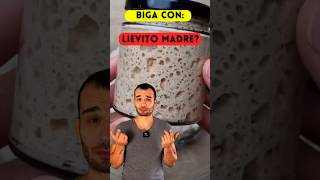 Biga con lievito madre  pizza pizzafattaincasa pizzanapoletana impasto [upl. by Brieta]