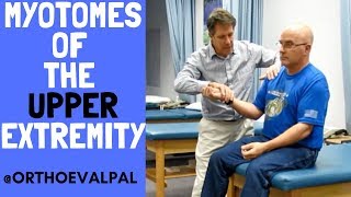 Myotomes of the Upper Extremity with OEP [upl. by Seafowl631]