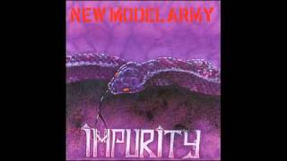 New Model Army  Bury The Hatchet [upl. by Weinrich]