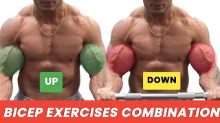 Best Bicep Combination Exercises To Build Big Bicep Muscle  Bicep Workout [upl. by Dust]