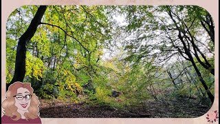 Burnham Beeches Walk [upl. by Anama]