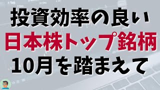 【 日本株 】東証上場 3800銘柄の中から投資効率の良い上位 50 銘柄のリターンとリスクを業種別に確認  2024年10月末時点 [upl. by Chiarra]