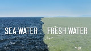 Fresh Water Meets Sea Water – Boundary Explained [upl. by Bertha]