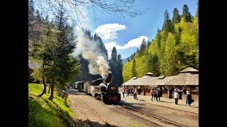 quotMocanițaquot Steam Train of Vaser Valley  Maramures Romania [upl. by Petes]