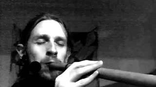 Overtone Flute in D  Improvisation 2512011 [upl. by Elleret]