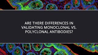 Are There Differences in Validating Monoclonal vs Polyclonal Antibodies [upl. by Nally75]