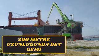 63500 TONLUK DÖKME YÜK GEMİSİ YÜKLEME OPERASYONU  63500 TON BULK CARGO LOADING OPERATION [upl. by Anirol]