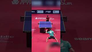 timo boll Crazy pointsshortsvideos [upl. by Alodi465]