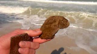 Dave found some old stuff on the Beach in Negril Jamaica 2010 [upl. by Waxman299]