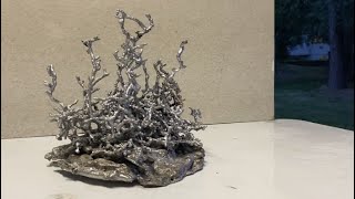 Aluminum Anthill Casting 16 [upl. by Dilisio]